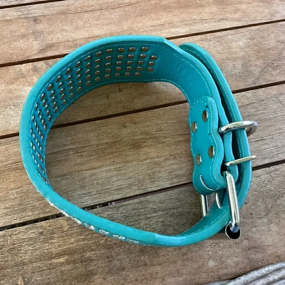 ZosuMae Super Fiber Zinc Alloy Comfortable Dog Collar